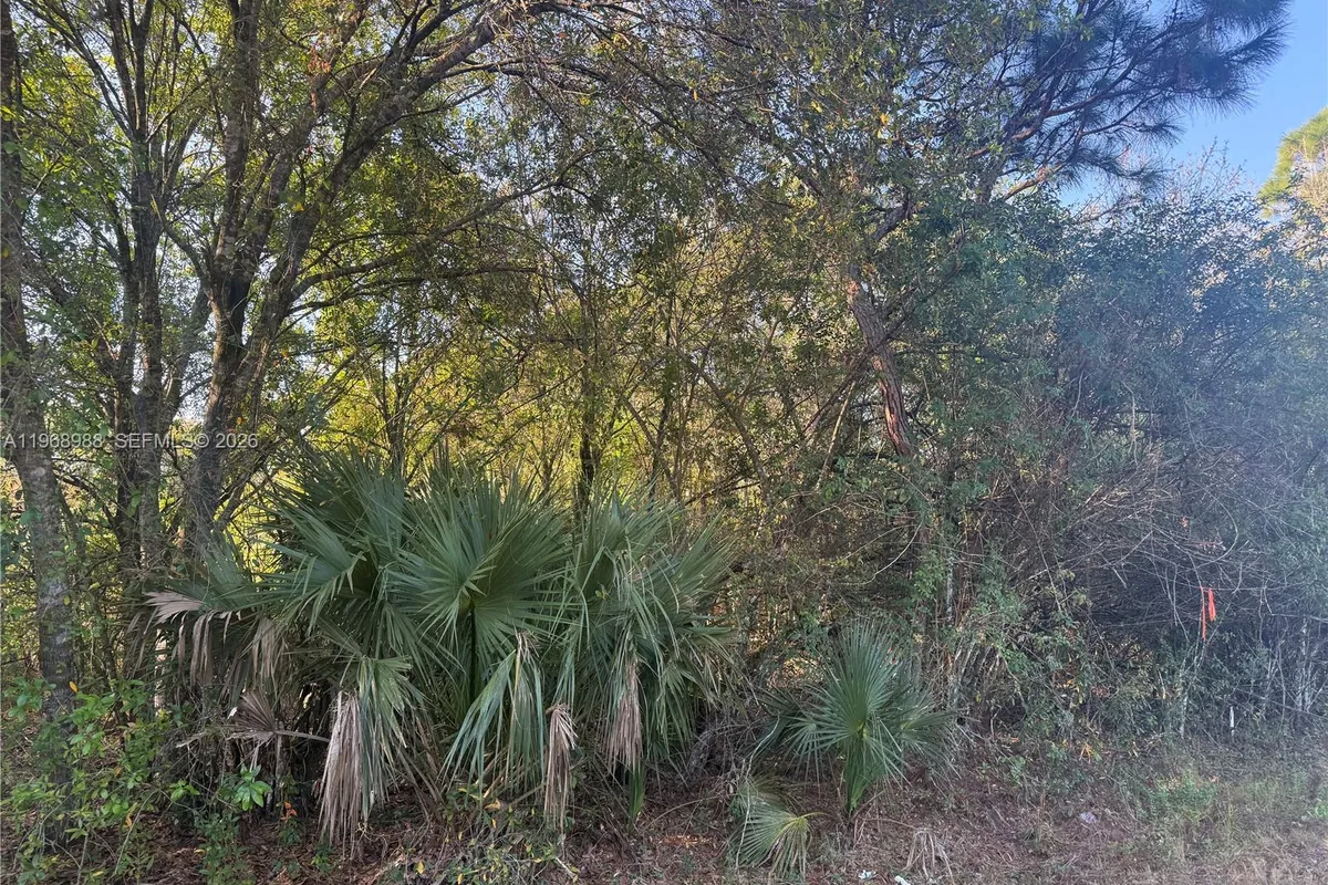 858 WOODLAND BLVD, Clewiston FL 33440