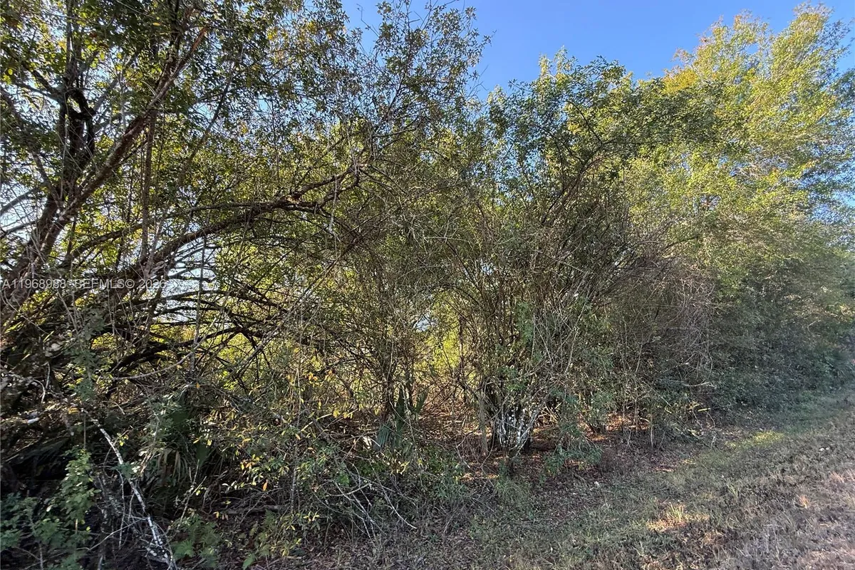 858 WOODLAND BLVD, Clewiston FL 33440