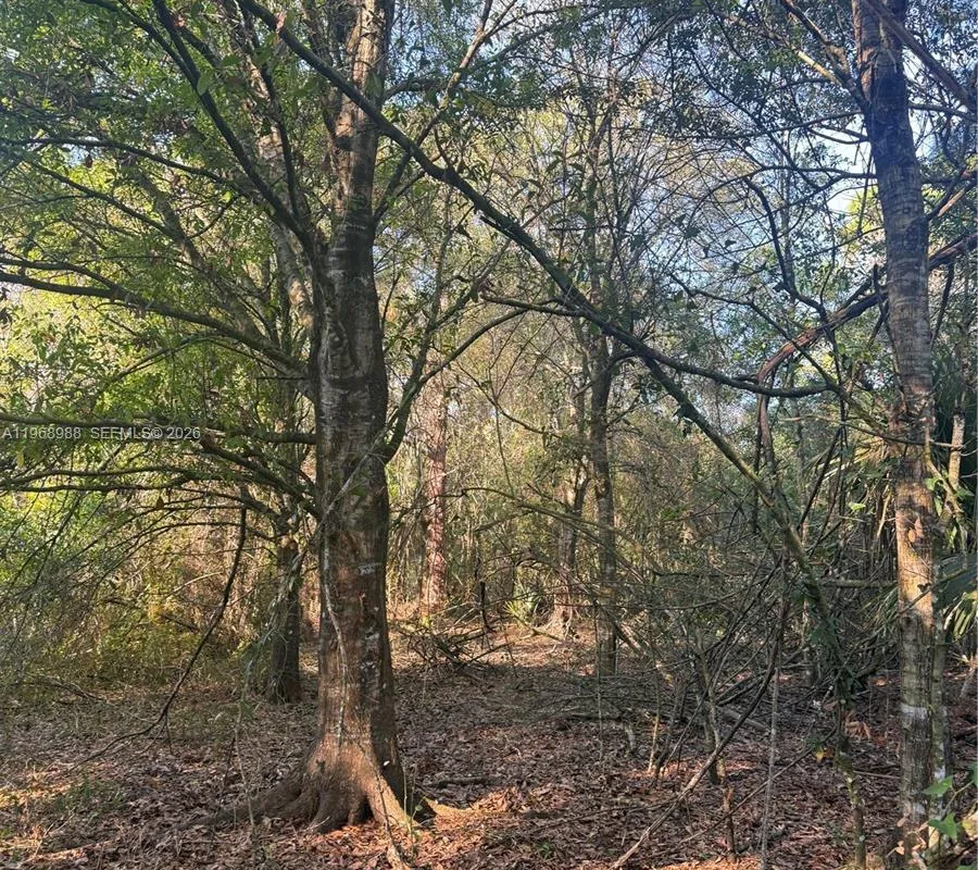 858 WOODLAND BLVD, Clewiston FL 33440