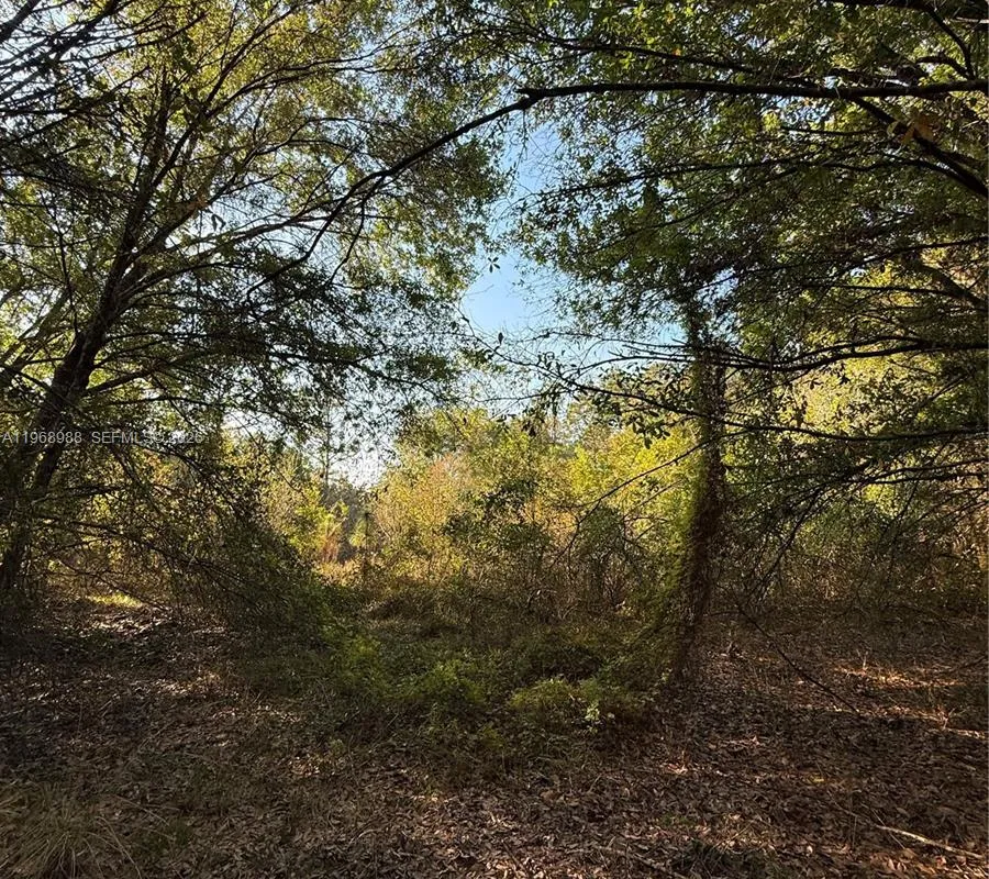 858 WOODLAND BLVD, Clewiston FL 33440