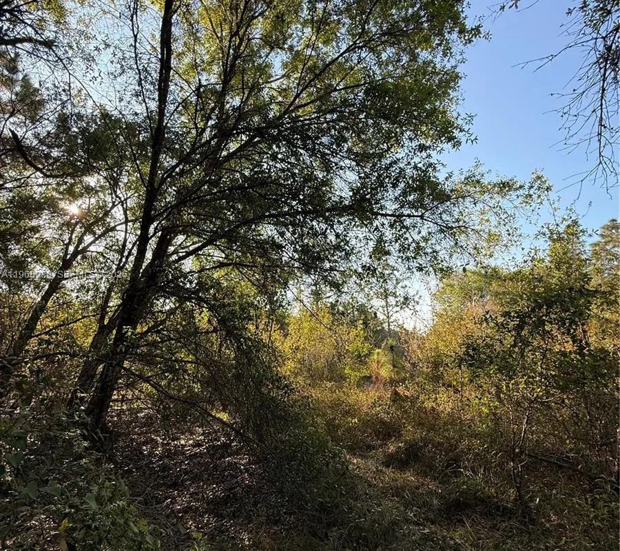 858 WOODLAND BLVD, Clewiston FL 33440