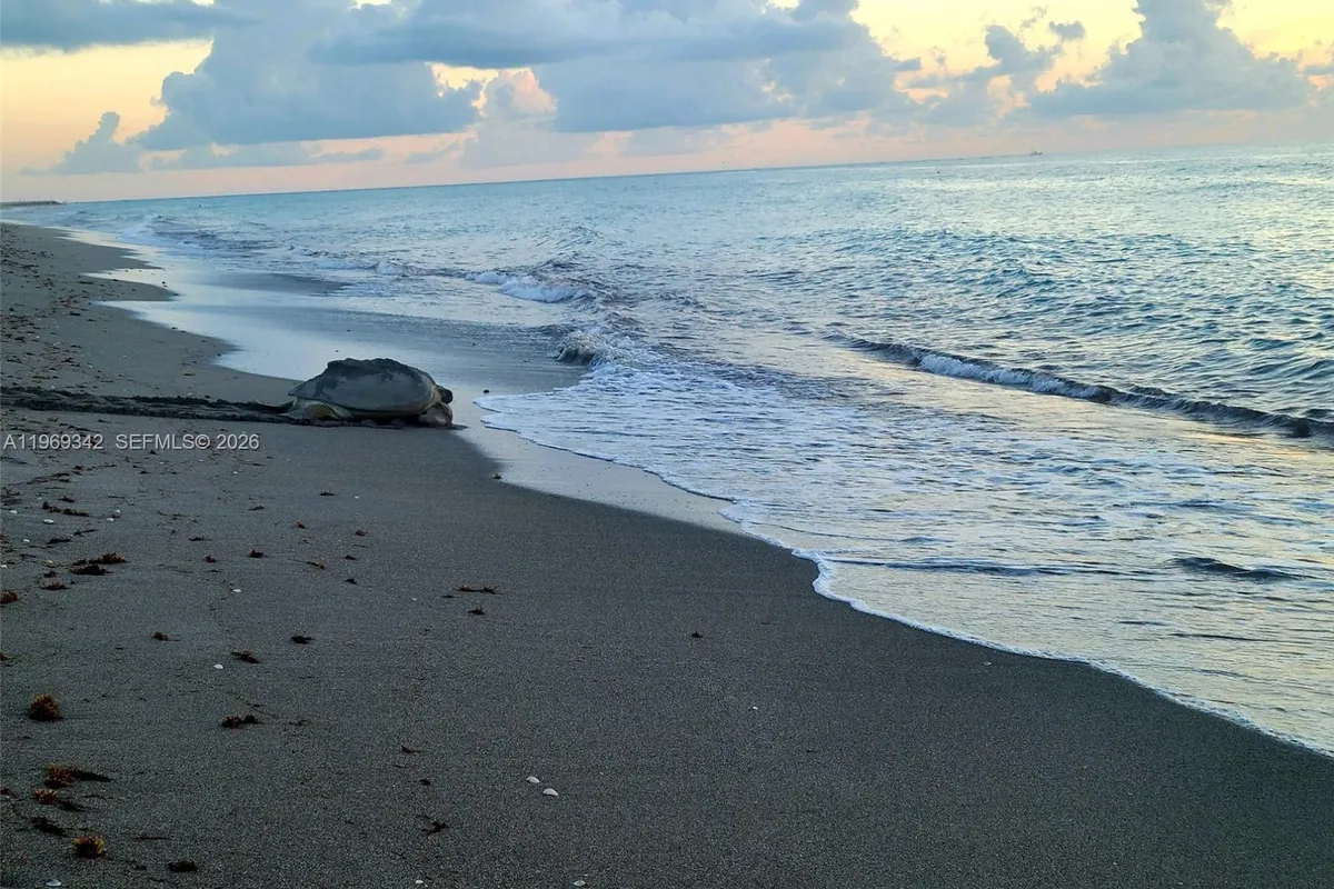 300 Ocean Trail Way # 1008, Jupiter FL 33477