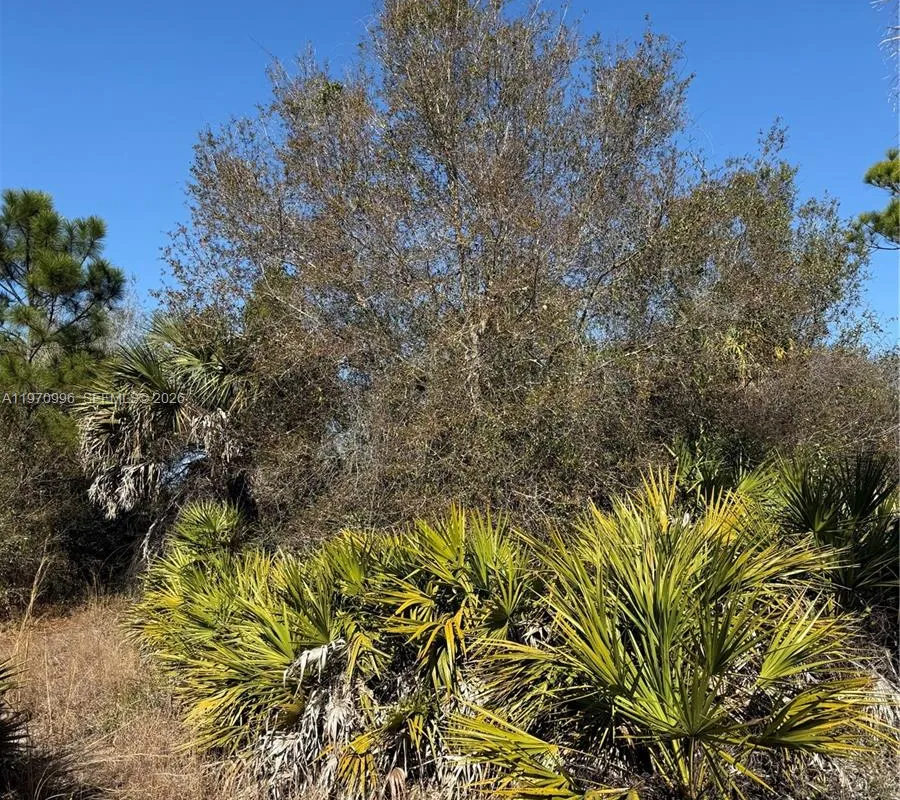 820 S Willow Street, Clewiston FL 33440