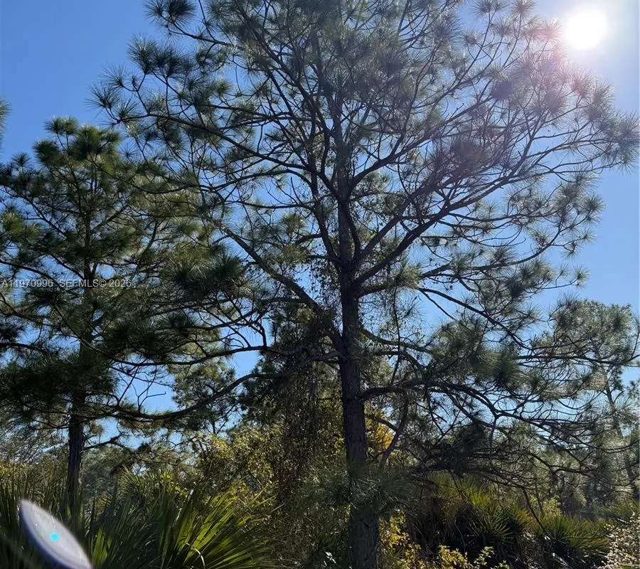 820 S Willow Street, Clewiston FL 33440