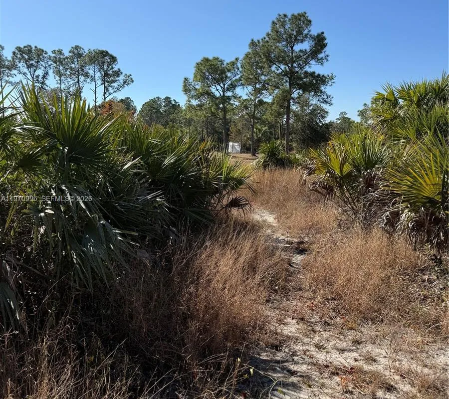 820 S Willow Street, Clewiston FL 33440