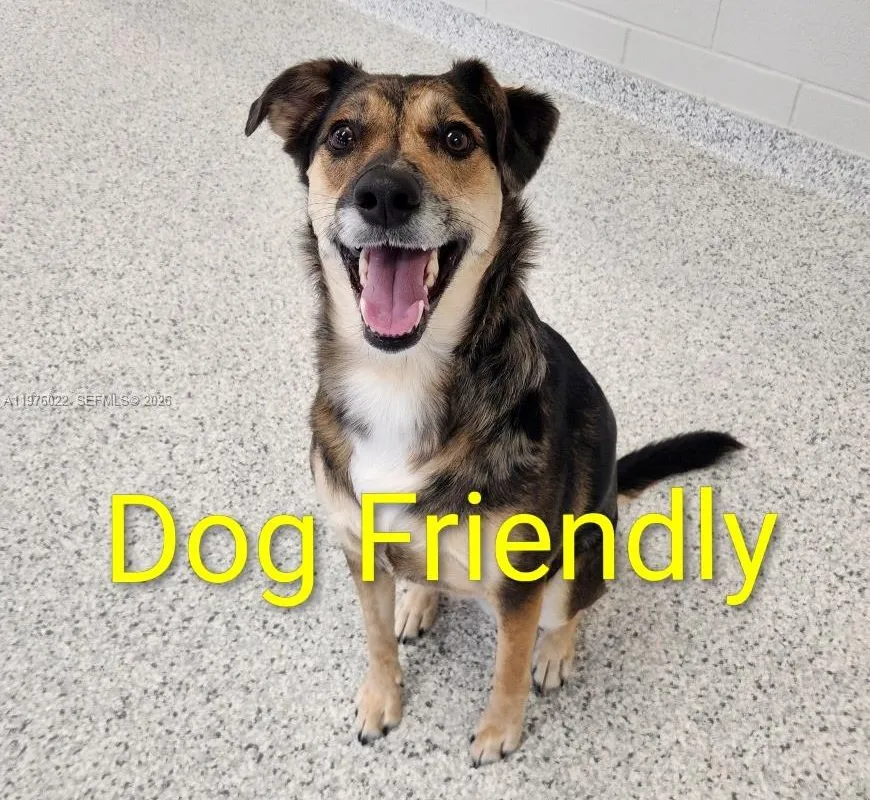 2630 SW 28th St (Overbook) # 51, Miami FL 33133