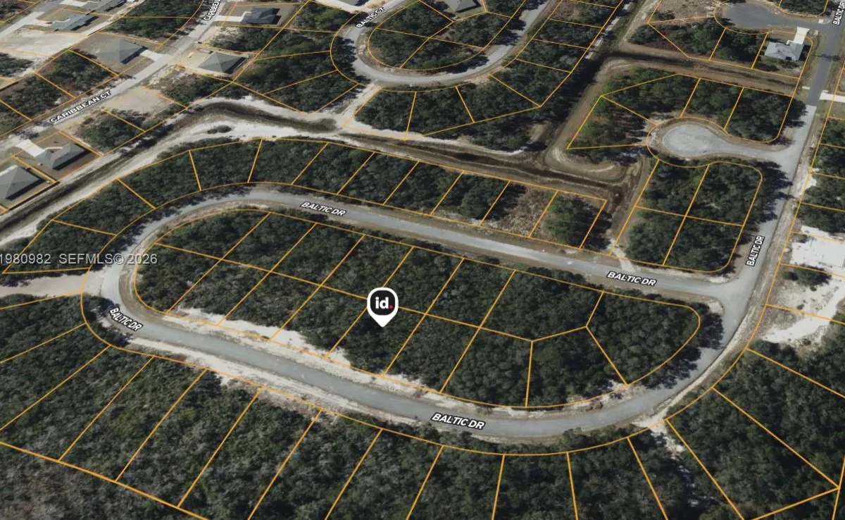 1238 Baltic Dr, Kissimmee FL 34759