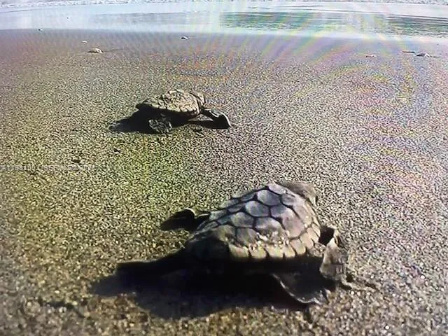 19670 Beach Rd # A404, Tequesta FL 33469