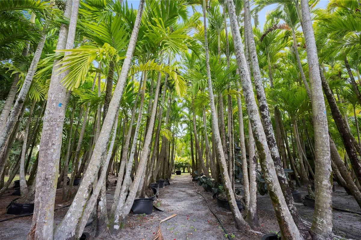 12263 Sandy Run Rd, Jupiter FL 33478