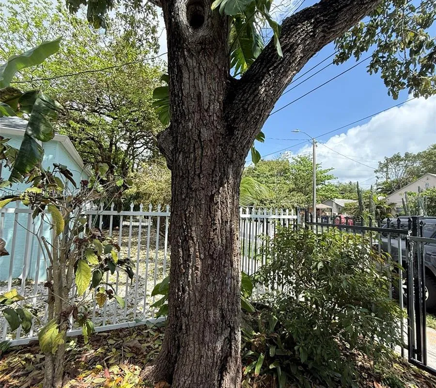 294 NE 57th St, Miami FL 33137