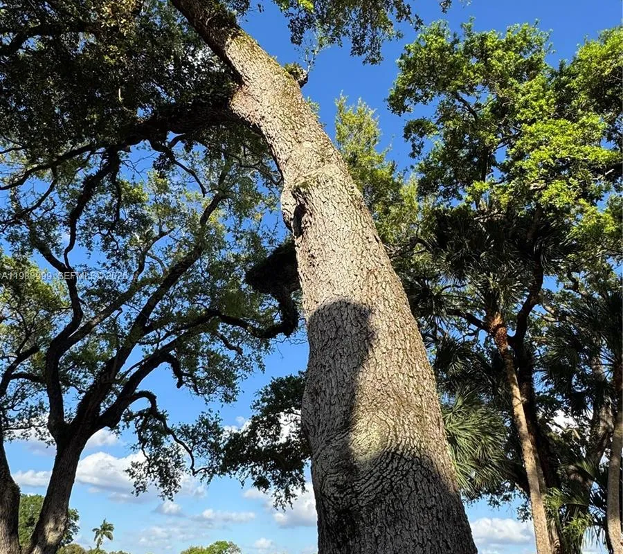 3212 Arbor Ln # 2407, Hollywood FL 33021