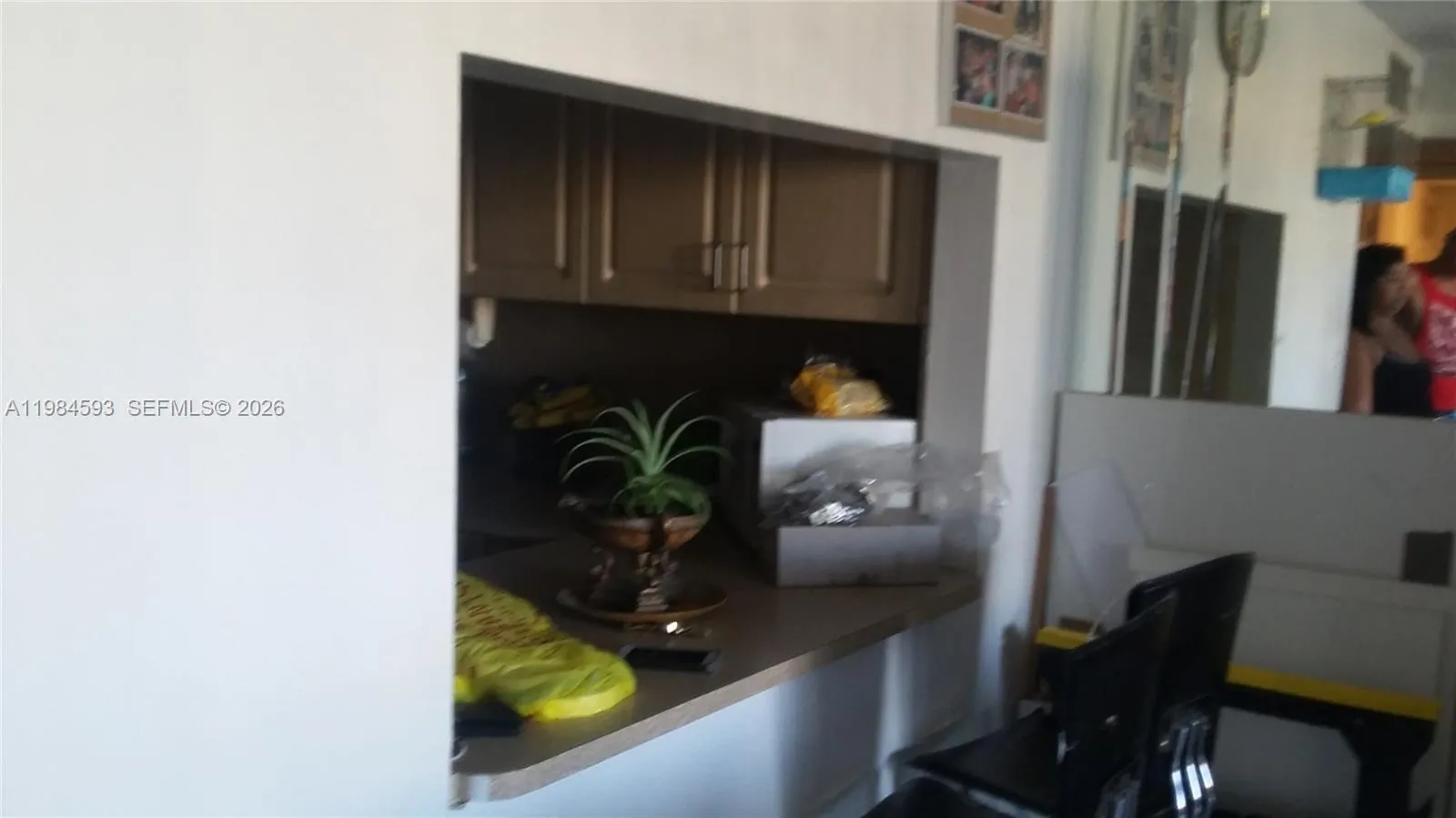 10000 NW 80Ct # 2463, Hialeah Gardens FL 33016