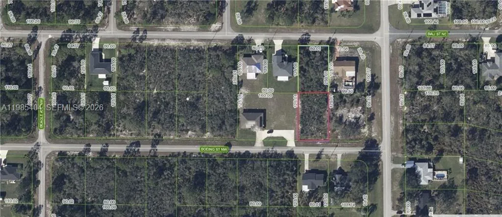 101 Boeing St Street NW, Lake Placid FL 33852