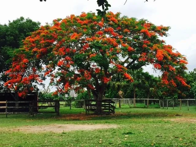 22800 SW 157th Ave, Miami FL 33170