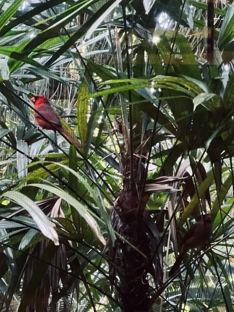 22800 SW 157th Ave, Miami FL 33170