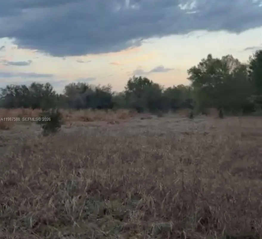 11200 S jefferson ave, Lake Placid FL 33852