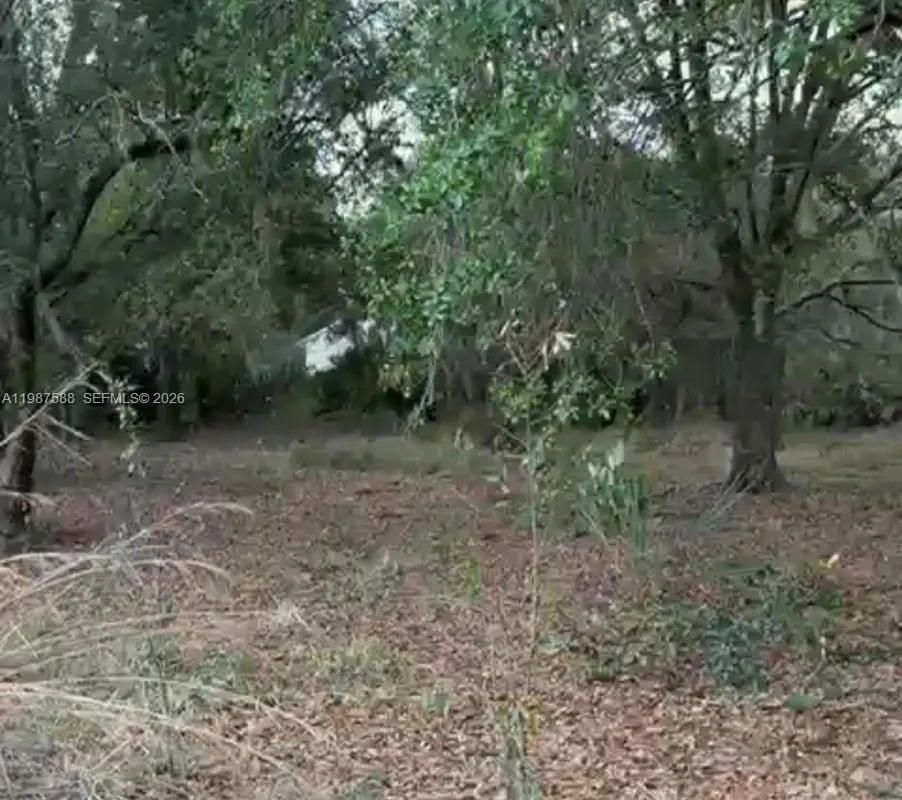 11200 S jefferson ave, Lake Placid FL 33852